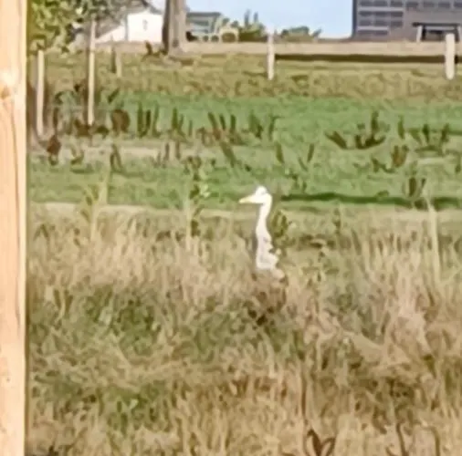 Mini-loft Am Schloss דירה Raesfeld